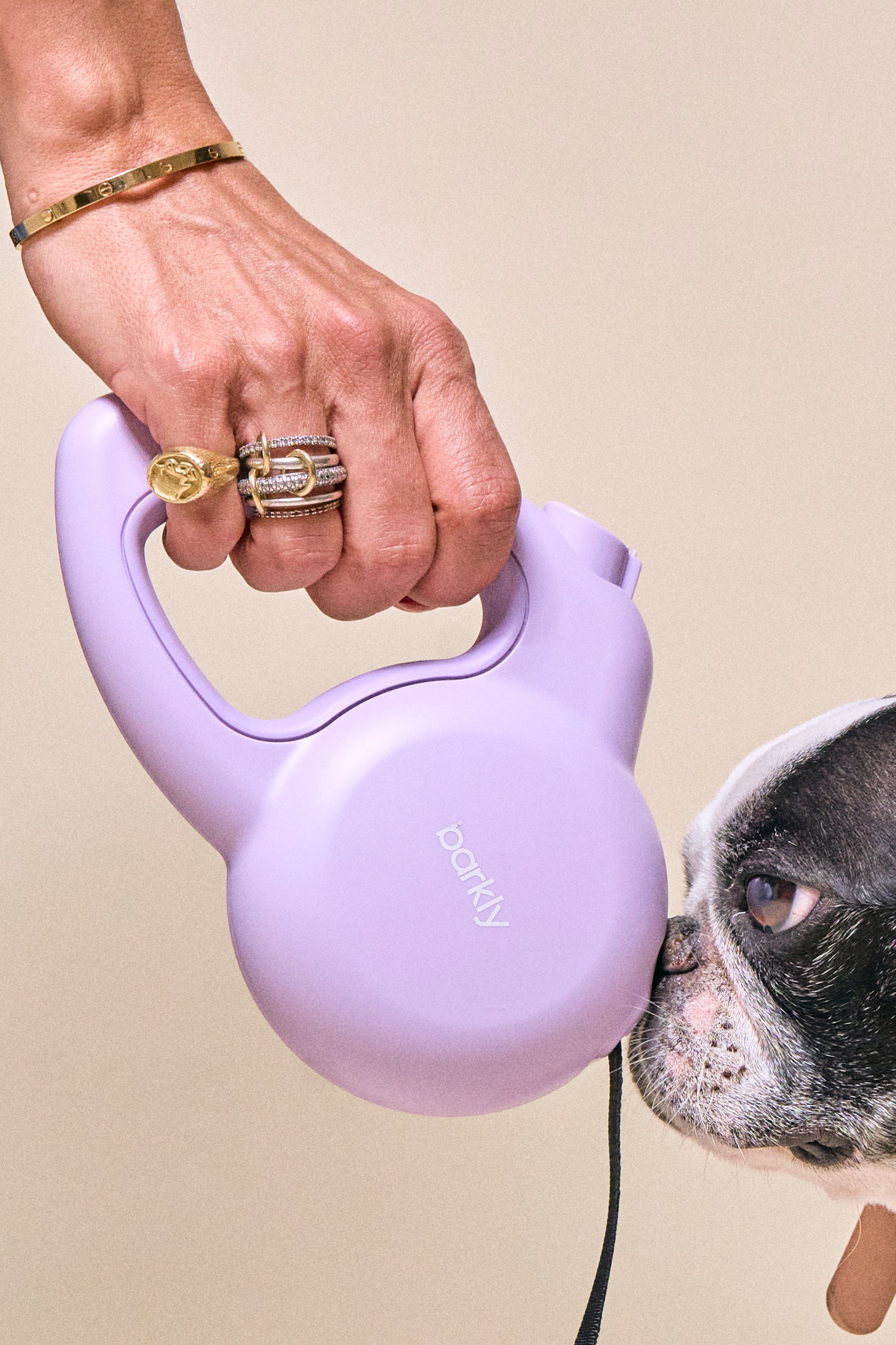 The Barkly Leash with a Built-In Personal Safety Alarm in Lilac